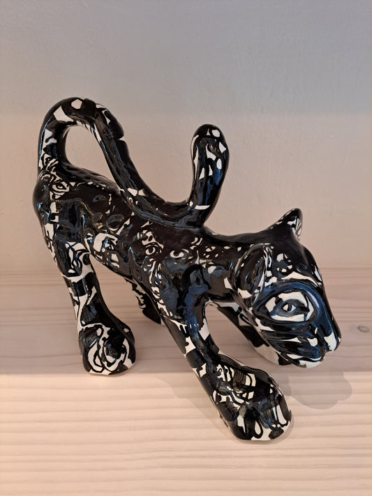 Cape Leopard