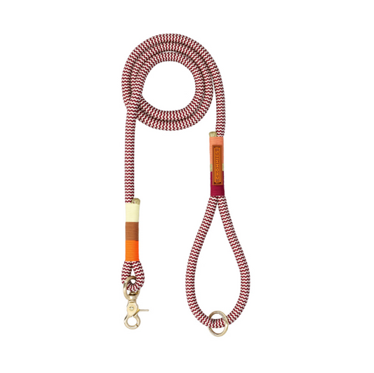 Chommies- Slip-on Leash | Autumn Standard